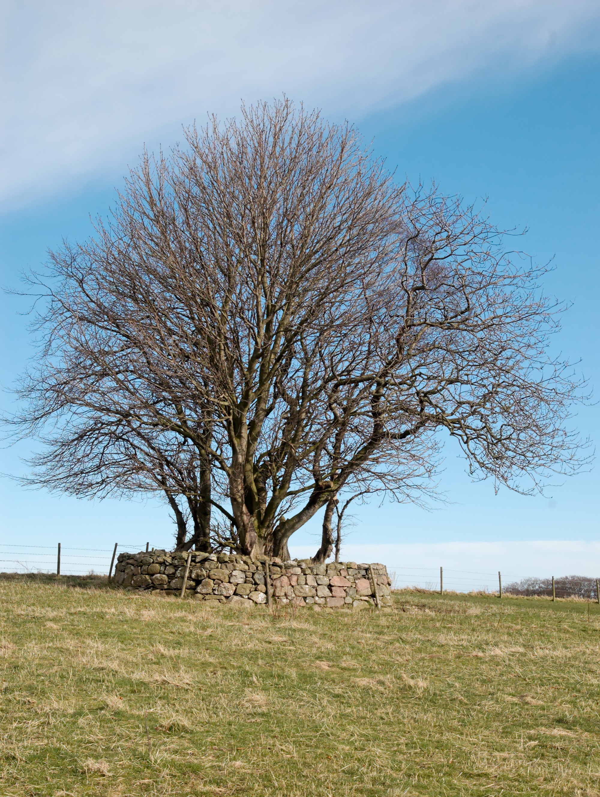 Minor Burial Grounds of Lower Donside cover