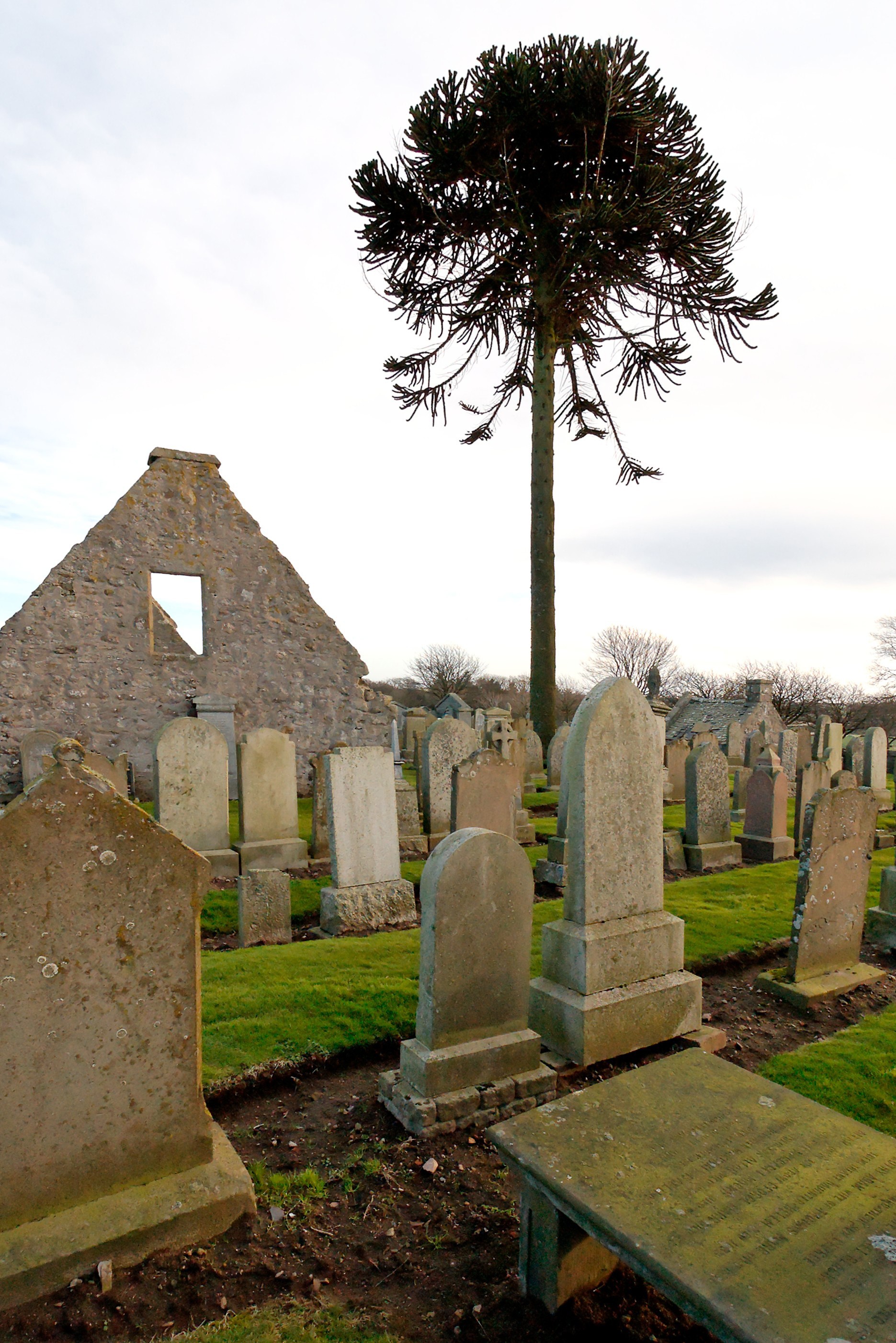 The Kirkyard of Newhills cover